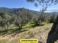 Resim14239